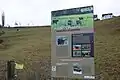 Auerochsen am Hirschhof