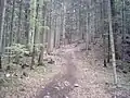 Beginn des Aufstieges zum Geierstein am Schlossweiher