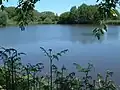Teich in Aukrug-Innien