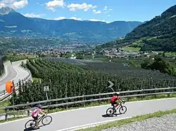 Bei Algund