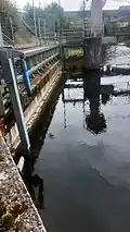 Der Rechen am Ausleitungsbauwerk in Fröhnd-Kastel.