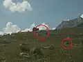 Übersicht des Mg-Bunkers und Auspuff der Festung Fuchsegg. Die Panzertürme sind nicht zu erkennen.