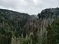 Aussicht auf das Polenztal nach Süden