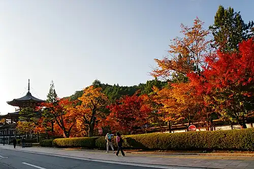 Kōya-Ryūjin-Quasi-Nationalpark