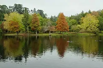 Herbst am Lake McLaren