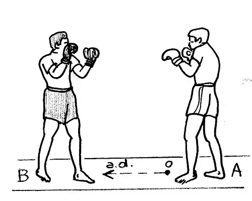 Zwei Boxer