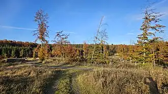 Bärenberg von Südwesten fotografiert