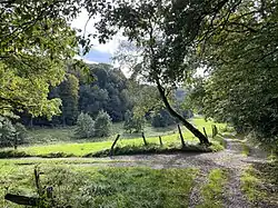 Naturschutzgebiet Böckersfelder Bachtal