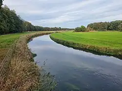 Die Böhme im Urstromtal der Aller bei Hollige