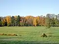 Ehemalige Rieselwiesen