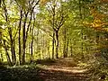 Wanderweg im Naturschutzgebiet Böker Bachtal