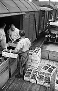 14. Juli 1953