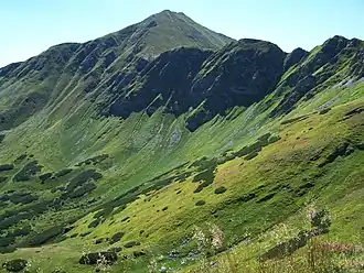 Gipfelbereich