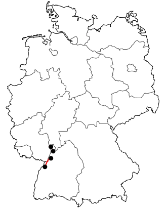 Verlauf der B 36