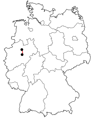 Verlauf der B 63