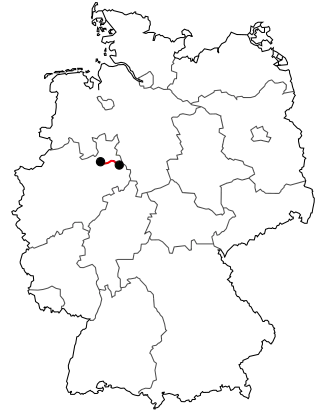 Verlauf der B 66