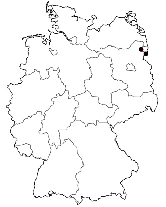 Verlauf der B 166