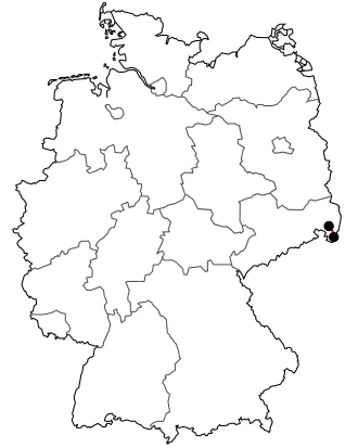 Verlauf der B 178