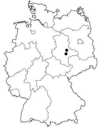 Verlauf der B 187a