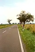 B 1 in Sachsen-Anhalt zwischen Helmstedt und Magdeburg