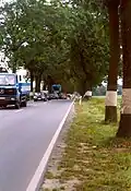 B 1 östlich von Berlin