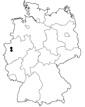 Verlauf der B 223