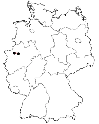 Verlauf der B 225