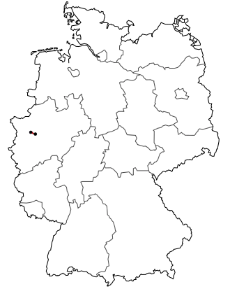 Verlauf der B 231