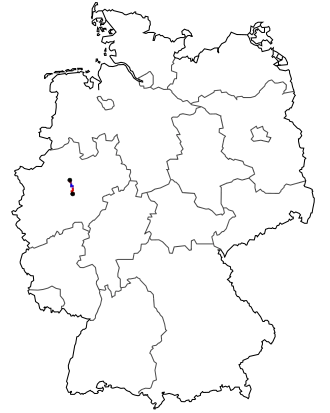 Verlauf der B 233