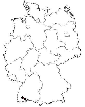 Verlauf der B 315