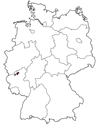 Verlauf der B 412