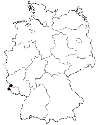 Verlauf der B 419