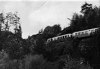 Triebwagen der Reihe 81 zw. Sweta Petka und Awramowo