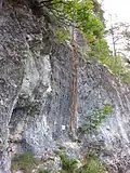 Die beiden Leitern