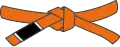 Oranger Gürtel