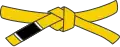 Gelber Gürtel