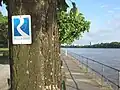 Blaue Markierungen führen entlang des Rheinsteigs