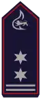 Stellv. Feuerwehrkommandant