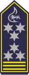 Feuerwehrkommandant (als BrOAR mZ)