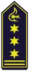 Stellv. Feuerwehrkommandant (als BrD)