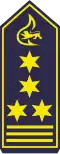 Feuerwehrkommandant (als Ltd. BrD)