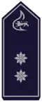 Stellv. Kreisbrandmeister