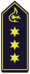 Branddirektor (A 15)