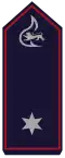 Brandmeister