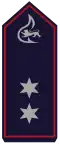 Oberbrandmeister