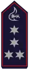 Leitender Hauptbrandmeister