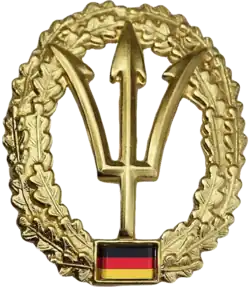 Barettabzeichen
