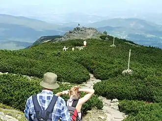 Der Gipfel des Babia Góra