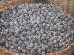 Bacaba (ähnlich ist Patauá von Oenocarpus bataua)