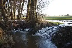 Bache bei Theeßen mit überschwemmtem Feld (2025)